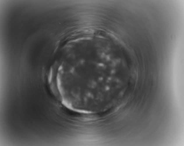 X0000088140707200706041337