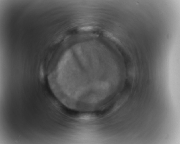 X0000088140708200706041337