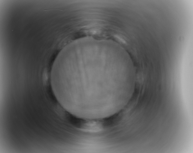 X0000088140709200706041337