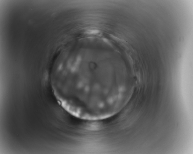 X0000088140711200706041337