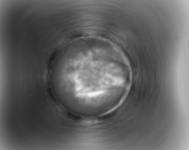 X0000088140712200706041337