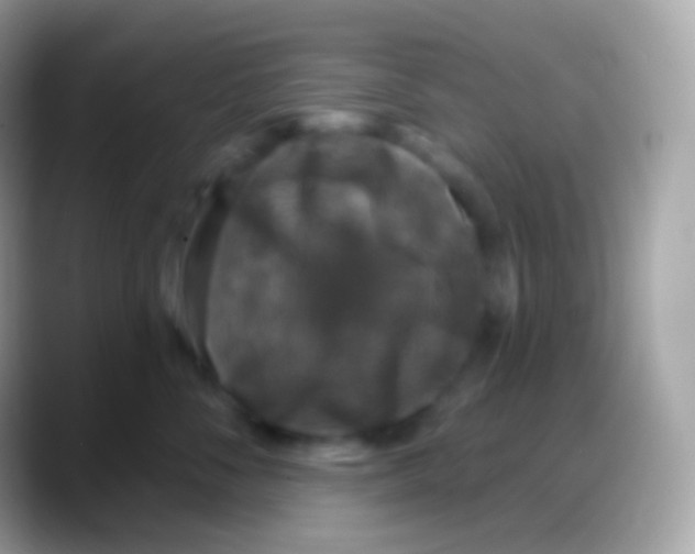 X0000088140716200706041337