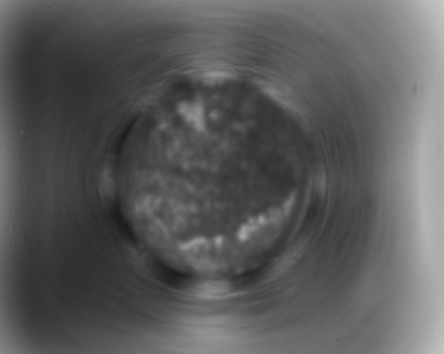 X0000088140719200706041337