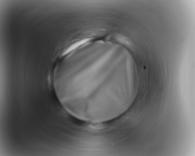 X0000088140720200706041337