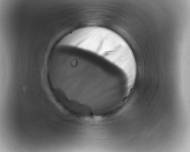 X0000088140721200706041336