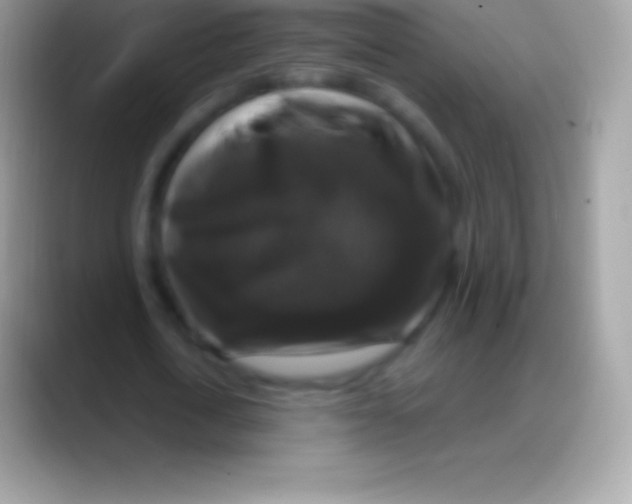 X0000088140722200706041336