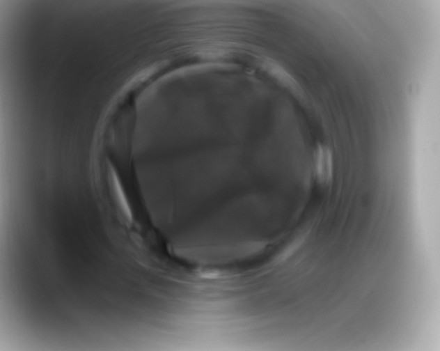 X0000088140723200706041336