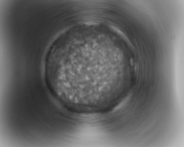 X0000088140725200706041336