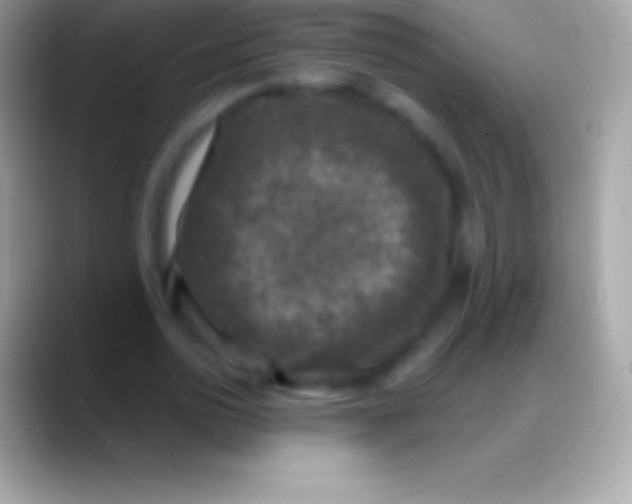 X0000088140726200706041336