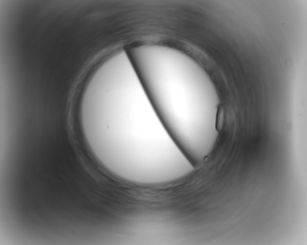 X0000088140728200706041336