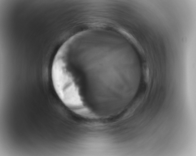 X0000088140729200706041336