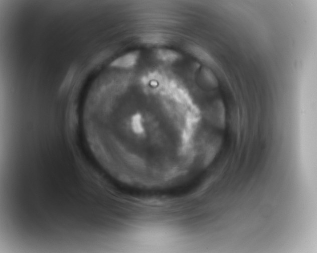 X0000088140731200706041336