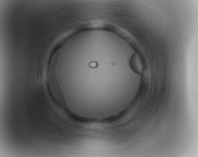 X0000088140732200706041336