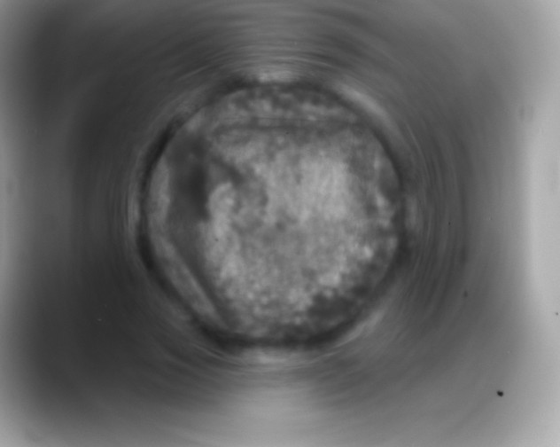 X0000088140733200706041336