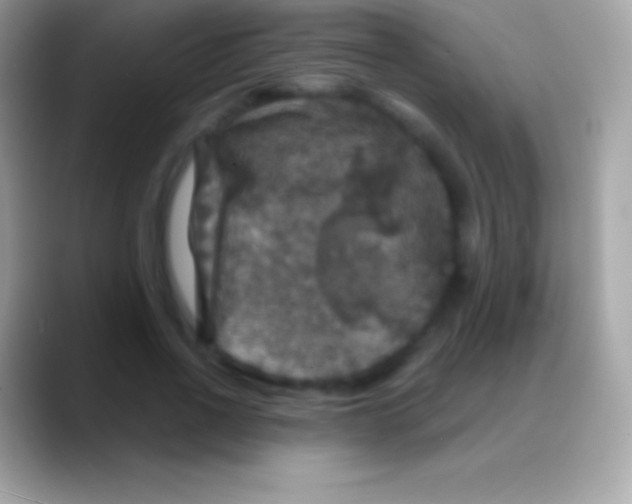 X0000088140734200706041336