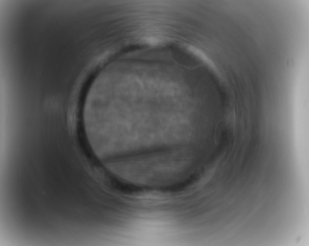 X0000088140736200706041336