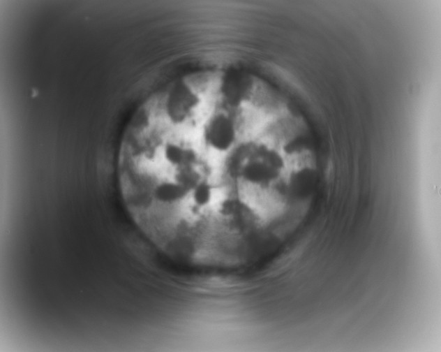 X0000088140737200706041336