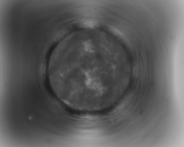 X0000088140739200706041336