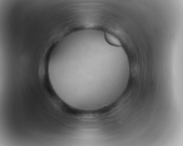 X0000088140740200706041336