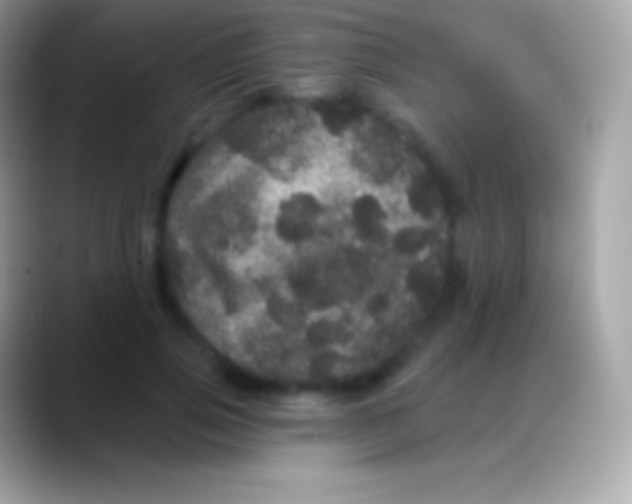 X0000088140741200706041336