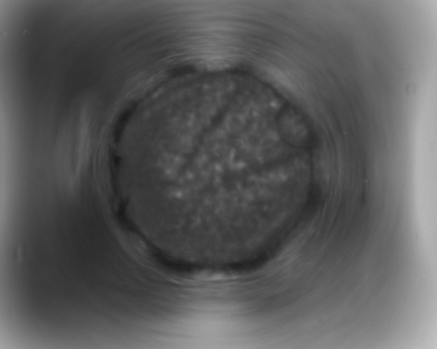 X0000088140742200706041336