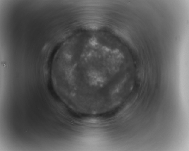 X0000088140743200706041336