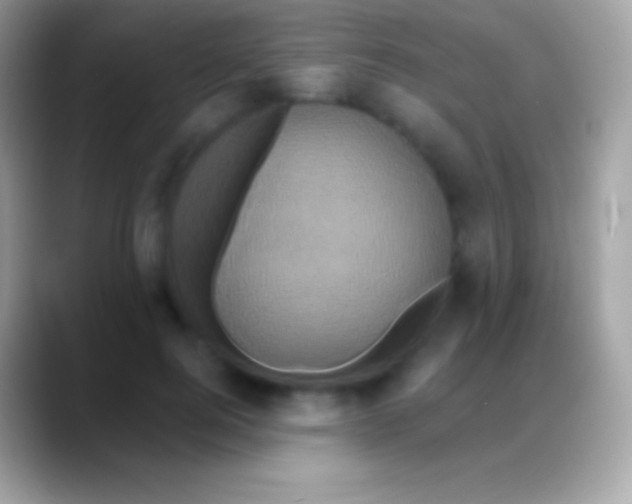 X0000088140744200706041337