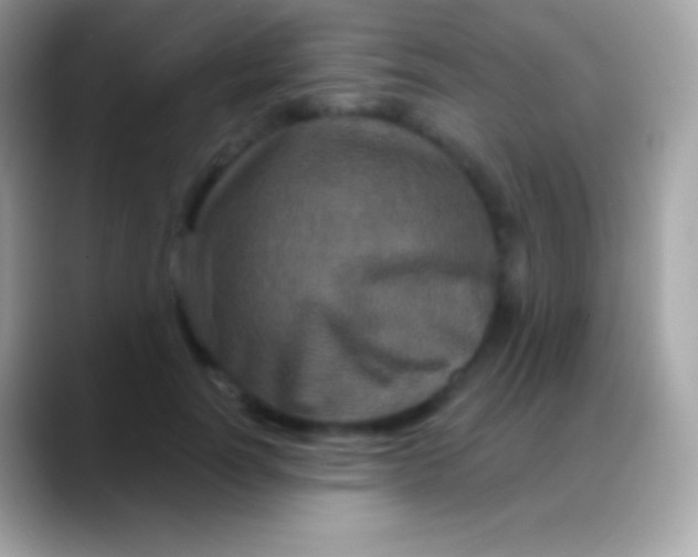 X0000088140746200706041337