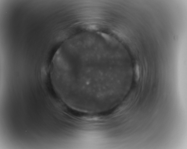 X0000088140747200706041337