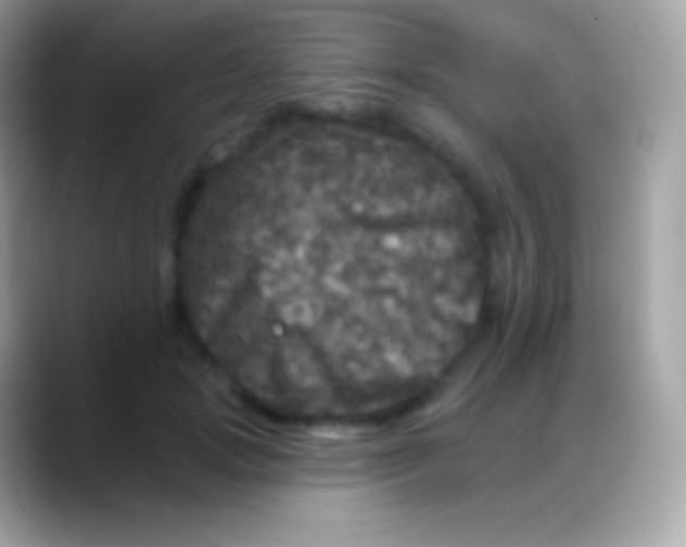 X0000088140749200706041337