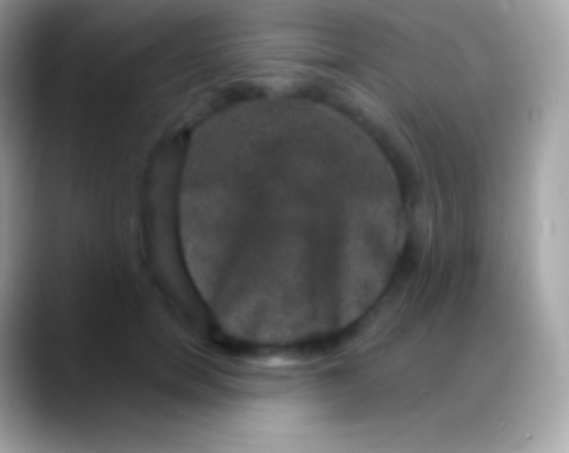 X0000088140750200706041337