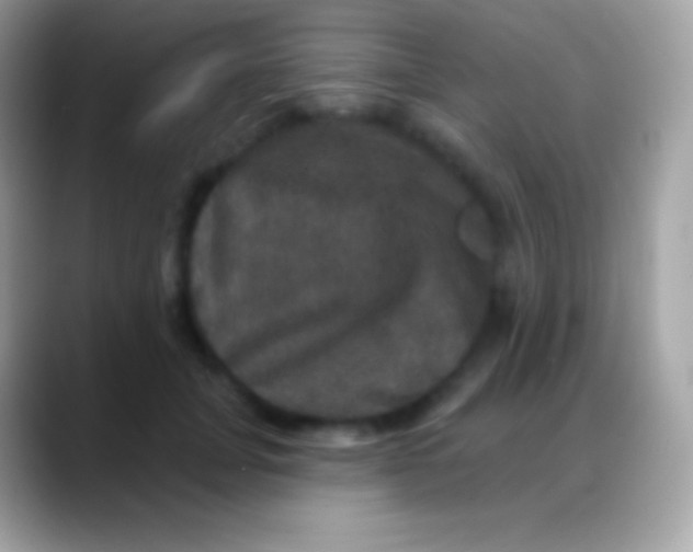 X0000088140751200706041337