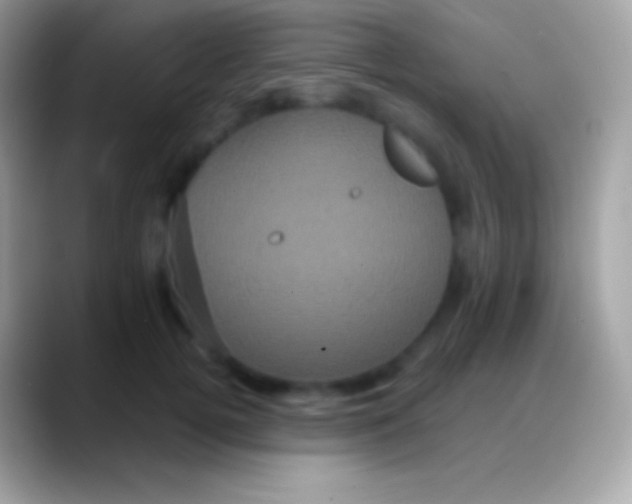 X0000088140752200706041337