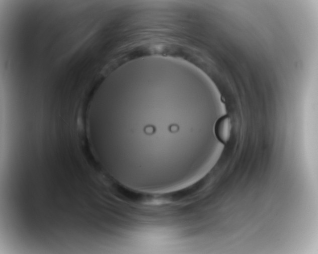 X0000088140754200706041337