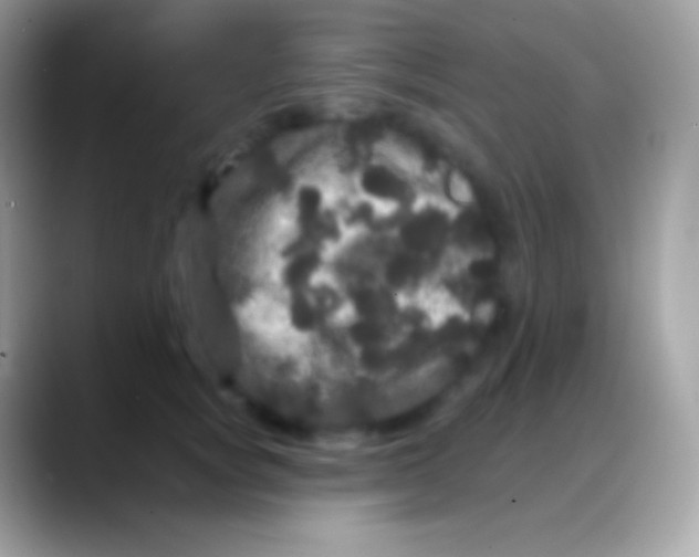 X0000088140757200706041337