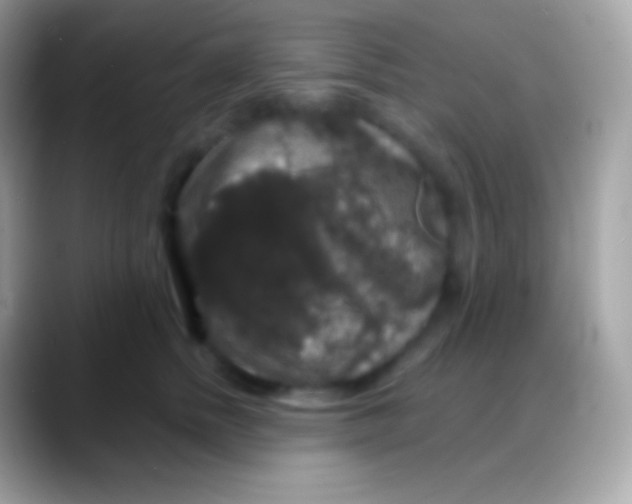 X0000088140758200706041337