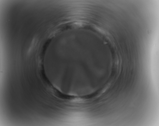 X0000088140759200706041337