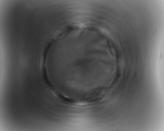 X0000088140760200706041337