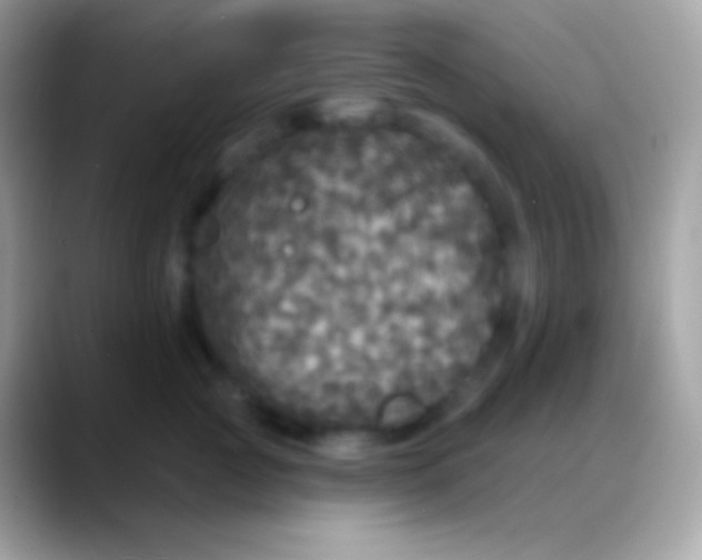 X0000088140761200706041337