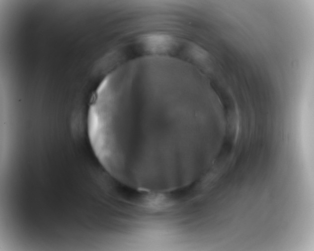 X0000088140762200706041337