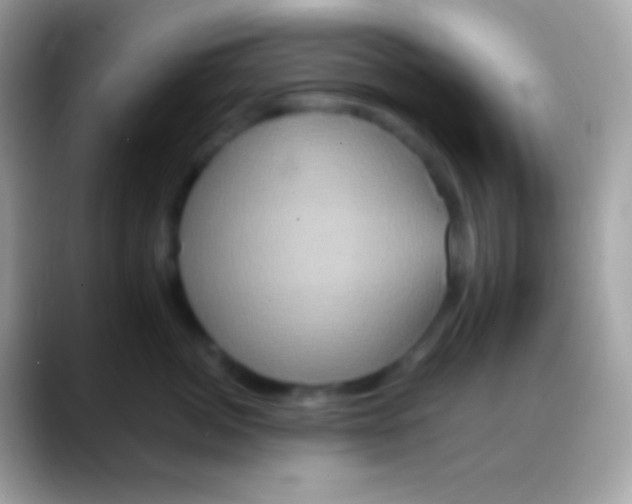 X0000088140764200706041337