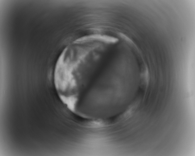 X0000088140765200706041337