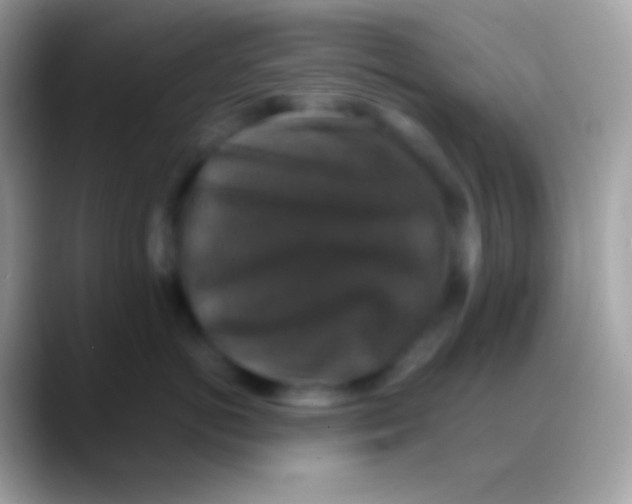 X0000088140766200706041337