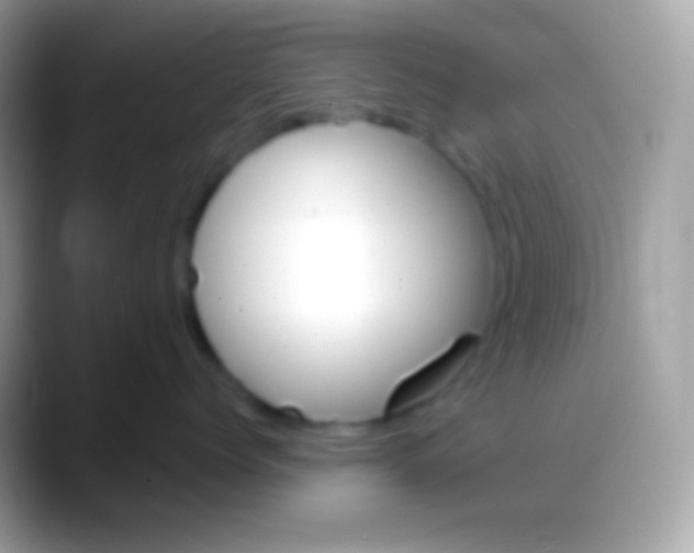 X0000088140768200706041337