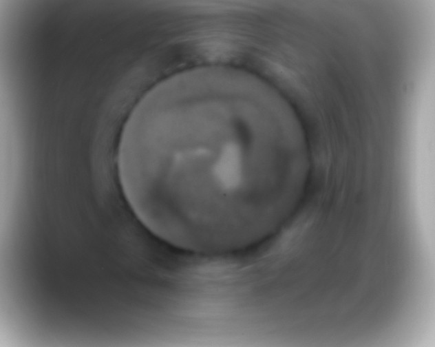 X0000088140769200706041336