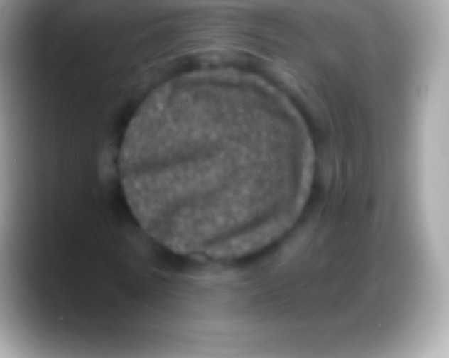 X0000088140770200706041336