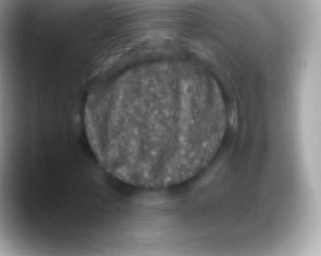 X0000088140771200706041336