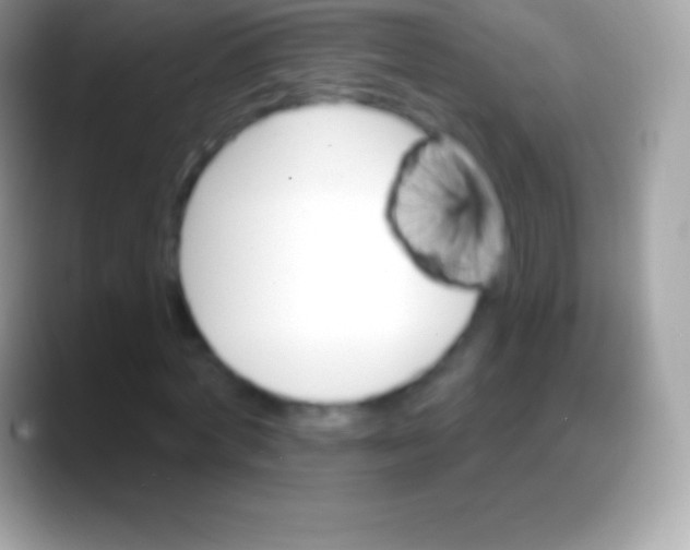 X0000088140772200706041336