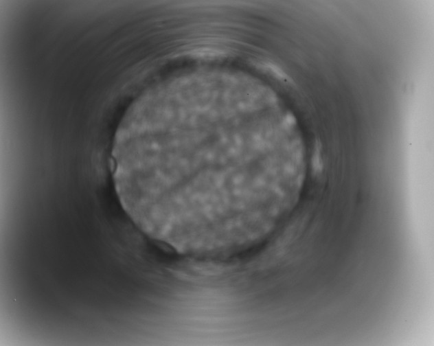 X0000088140774200706041336