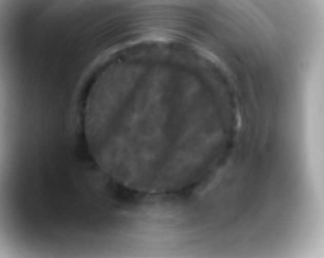 X0000088140776200706041336